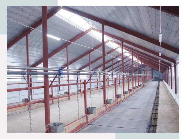 Строительство коровников в Ярцеве от 610 руб.