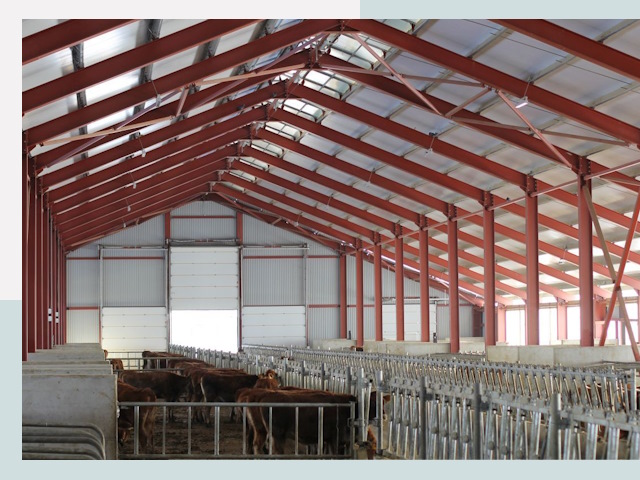 Строительство коровников в Ярцеве