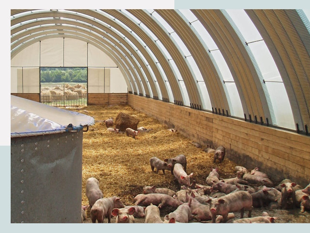 Строительство свинарников в Ярцеве