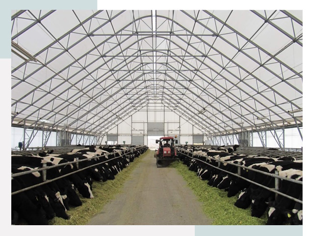 Тентовые коровники в Ярцеве от 610 руб. - Надежно и доступно