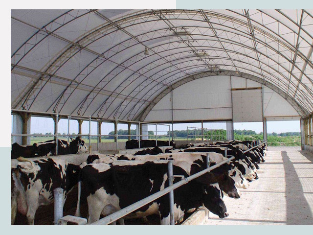 Тентовые коровники в Ярцеве